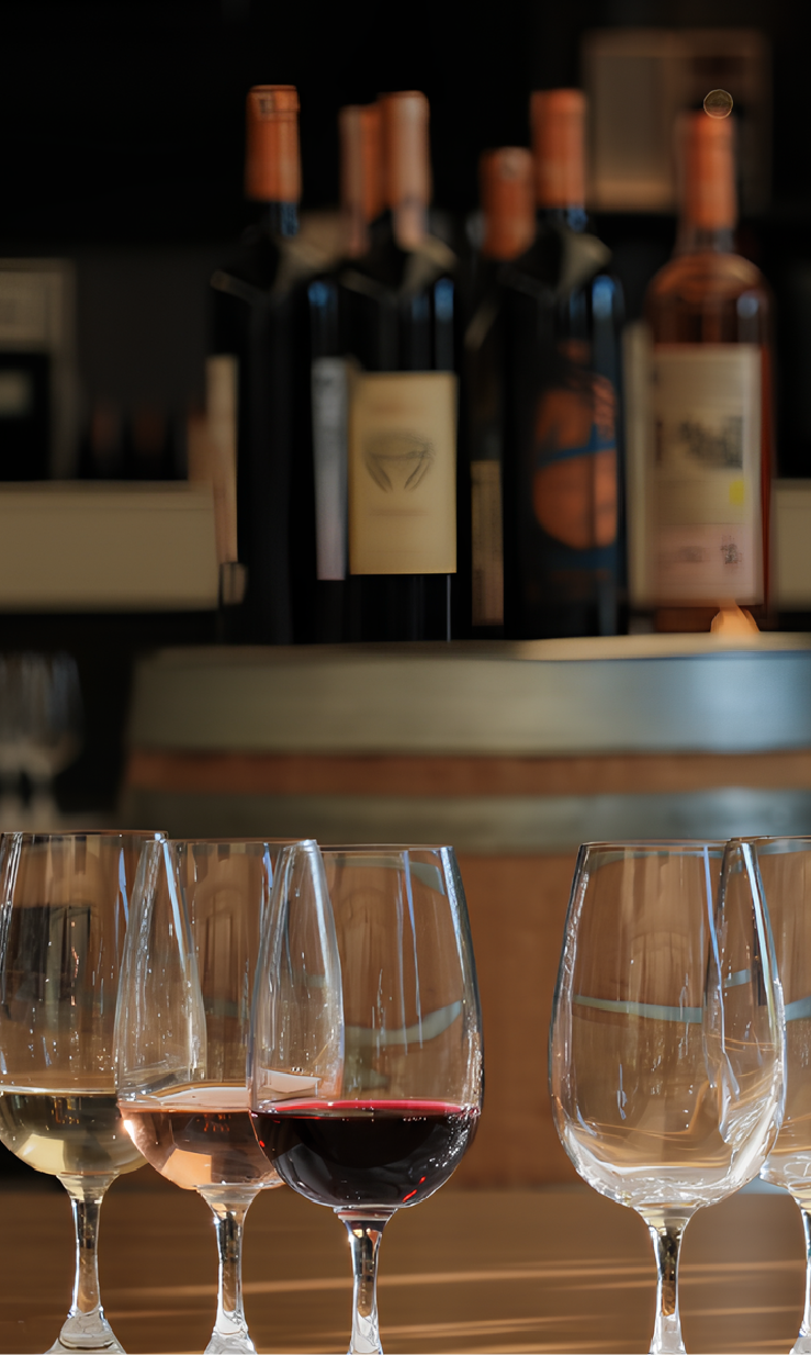 Urla Wine Tour