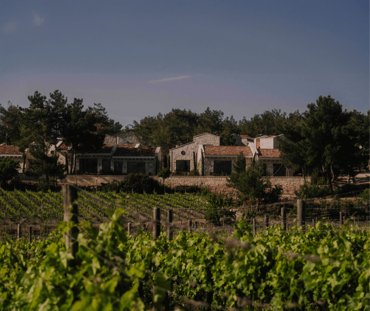 KeyUrla - A Vineyard and Boutique Hotel Experience in Nature
